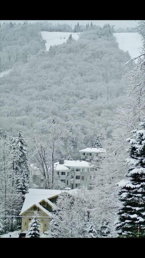 Ski-In, Ski-Out Chaleureux Studio Loft Au Pied Des Pistes De Ski Apartment Stoneham Ngoại thất bức ảnh