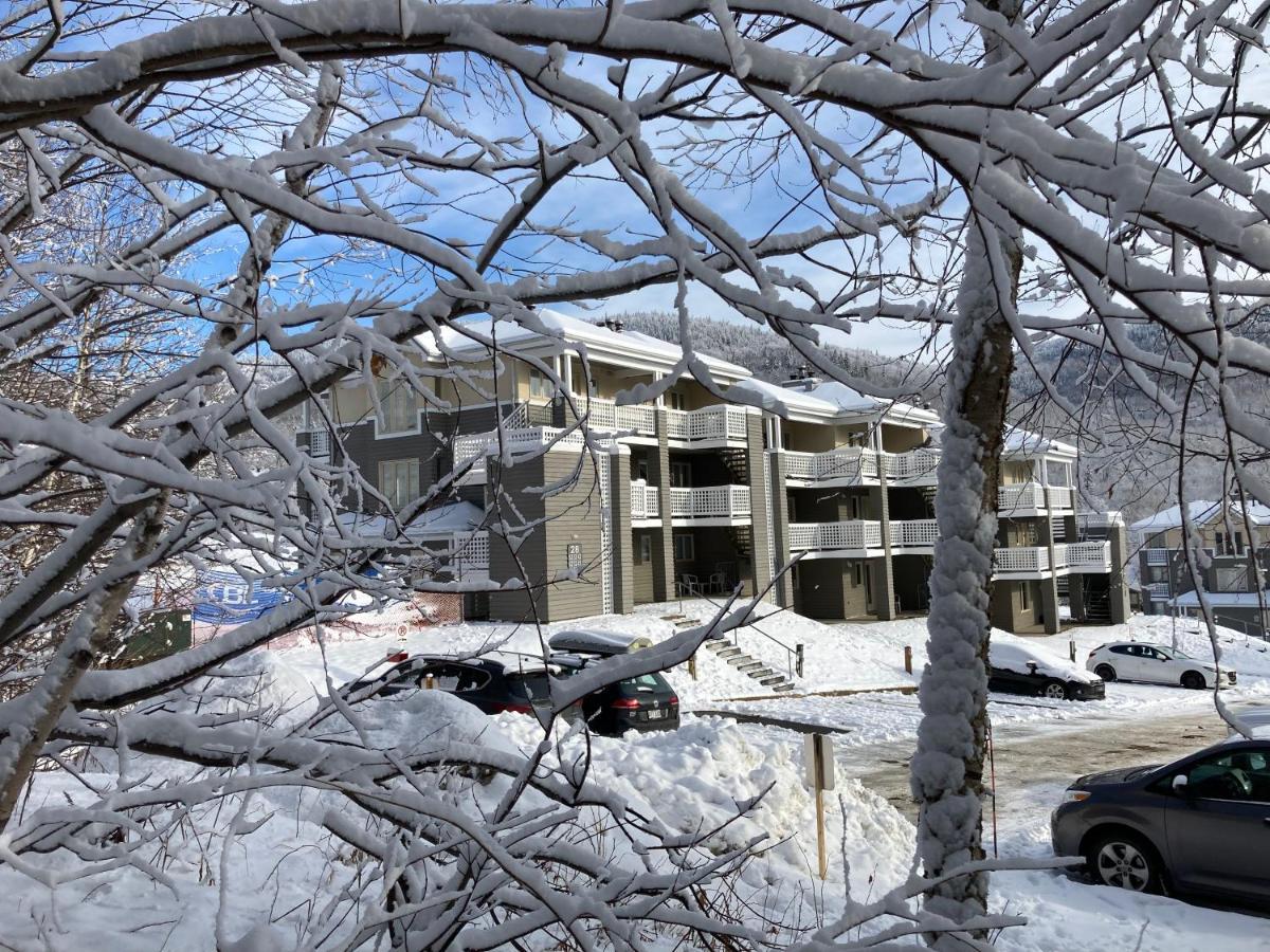 Ski-In, Ski-Out Chaleureux Studio Loft Au Pied Des Pistes De Ski Apartment Stoneham Ngoại thất bức ảnh