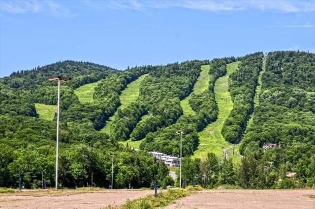 Ski-In, Ski-Out Chaleureux Studio Loft Au Pied Des Pistes De Ski Apartment Stoneham Ngoại thất bức ảnh